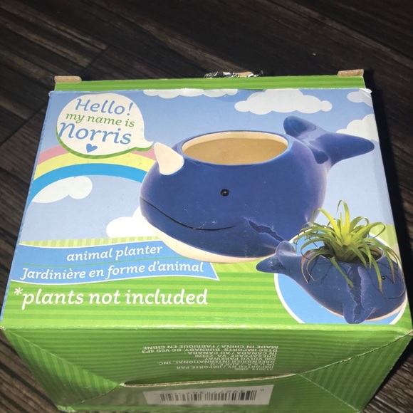 5/$25 Small Narwhal Ceramic Planter - Picture 14 of 15